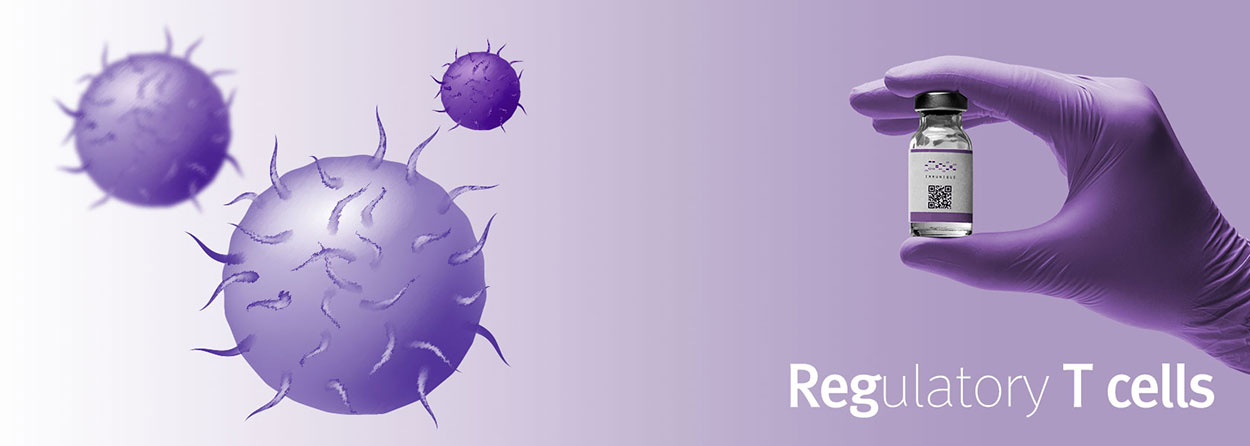조절 T세포(Regulatory T cells; Tregs)